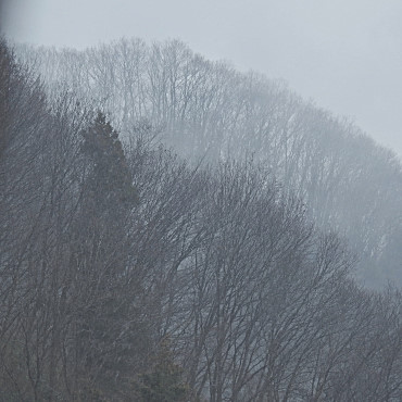20160309-dscn4435_01.jpg