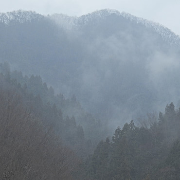 20160309-dscn4438_01.jpg