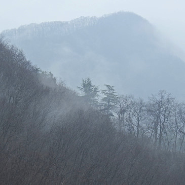 20160309-dscn4442_01.jpg