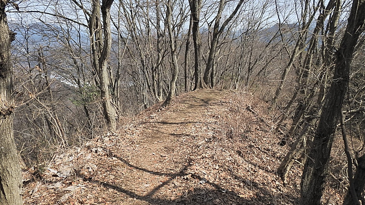 20160320-dscn5140_01.jpg