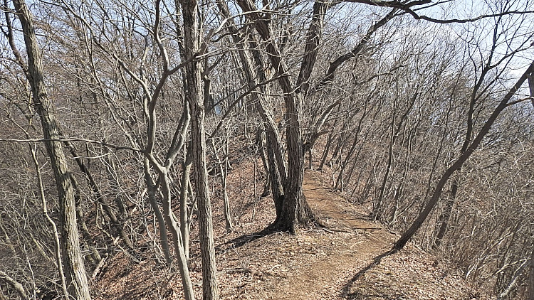 20160320-dscn5142_01.jpg