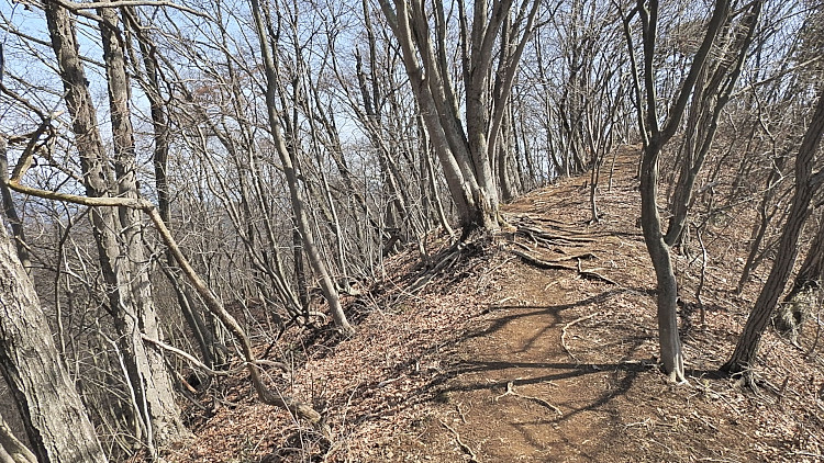 20160320-dscn5143_01.jpg