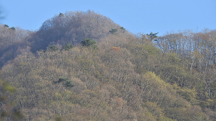 20160420-dscn5895_01.jpg