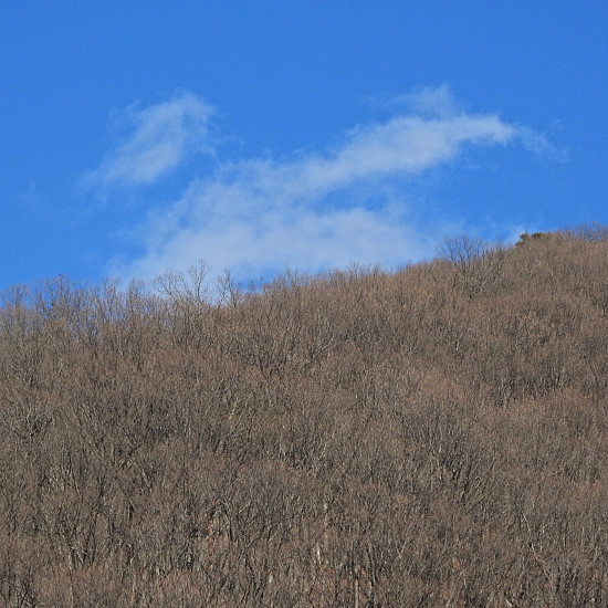 20160422-dscn4193_01.jpg