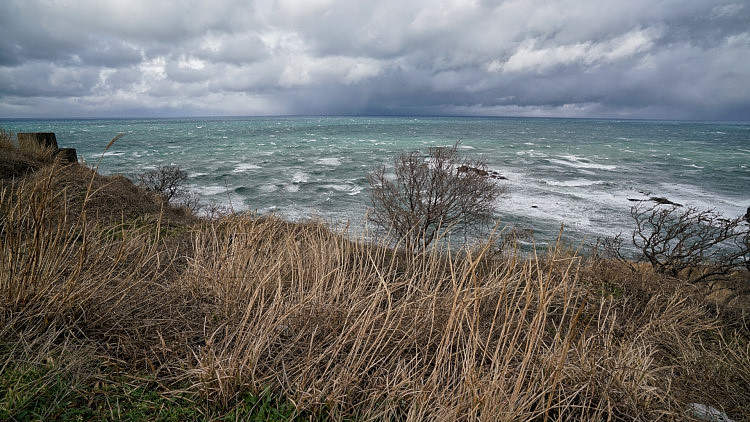 20170117-fullsizerender__13_.jpg