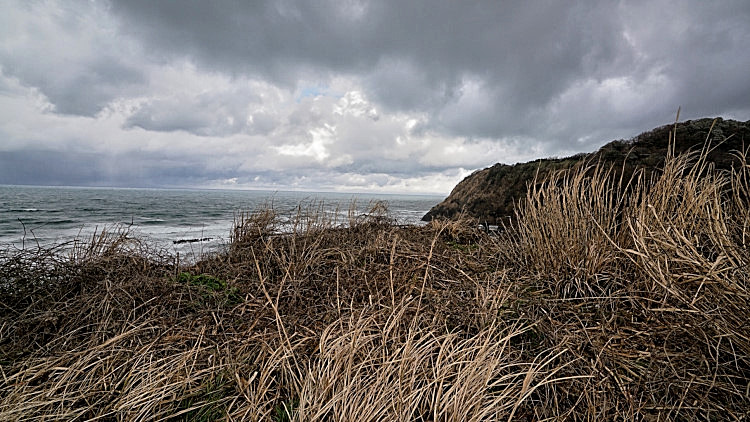 20170117-fullsizerender__15_.jpg