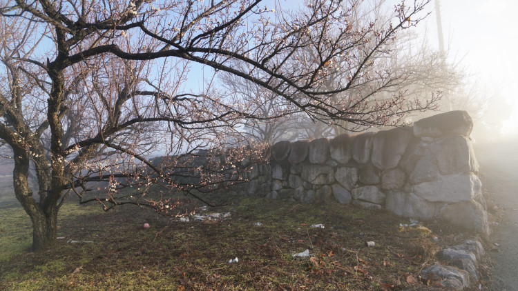 20170206-fullsizerender__5_.jpg