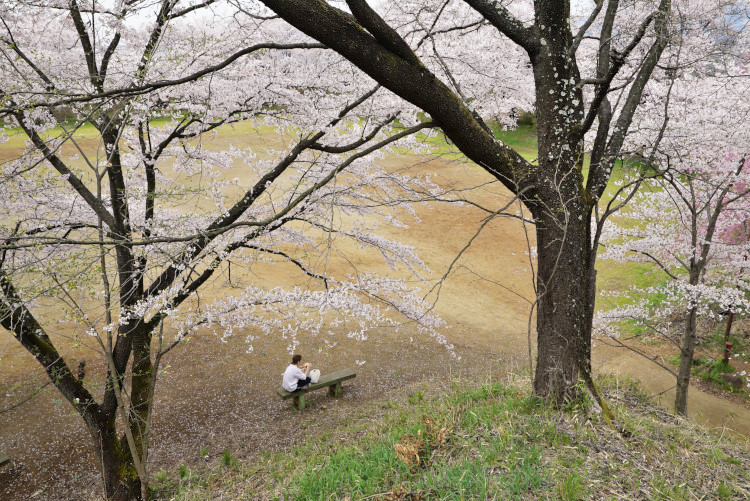 20170416-dsc05840.jpg