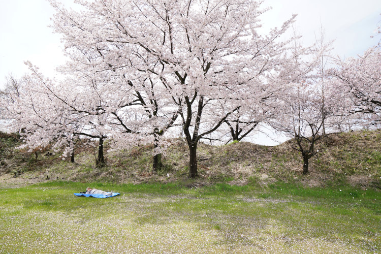 20170416-dsc05989.jpg