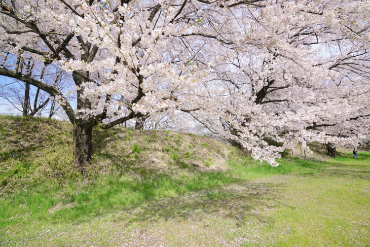 20170416-fullsizerender4p25negp.jpg