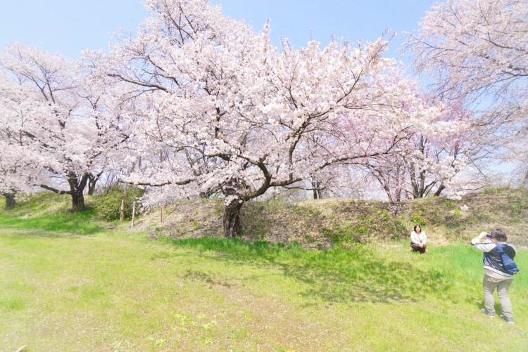 20170416-fullsizerender__15_.jpg