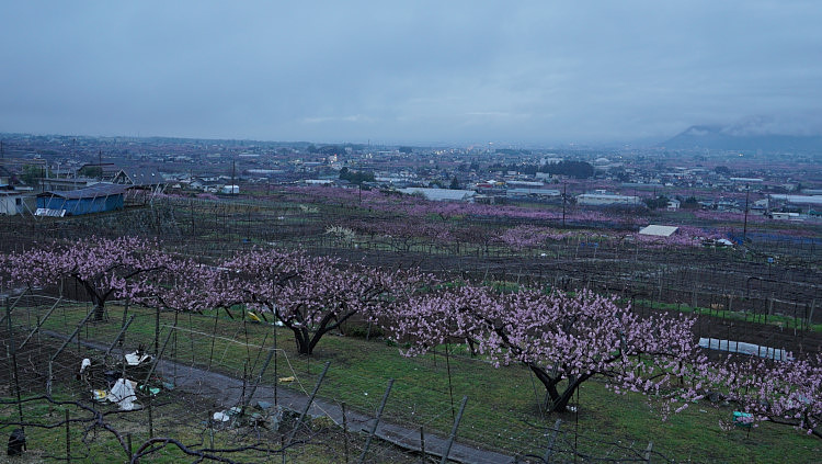20170420-dsc05937.jpg