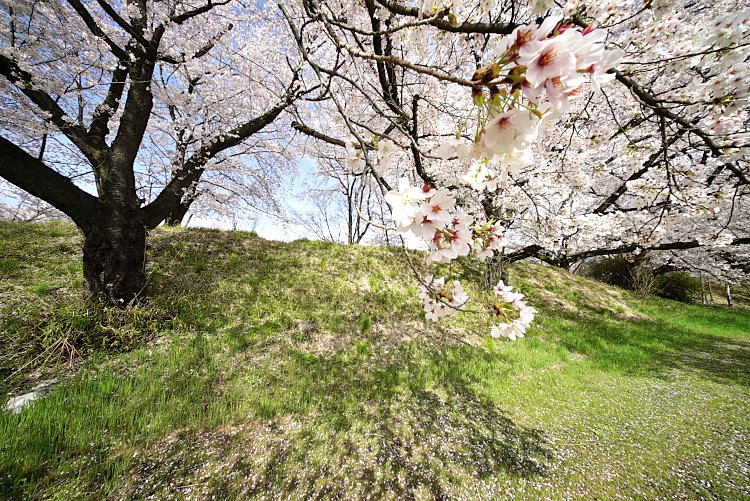 20170420-dsc06050.jpg