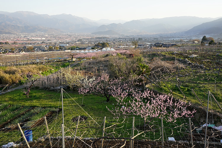 20170420-dsc06074.jpg
