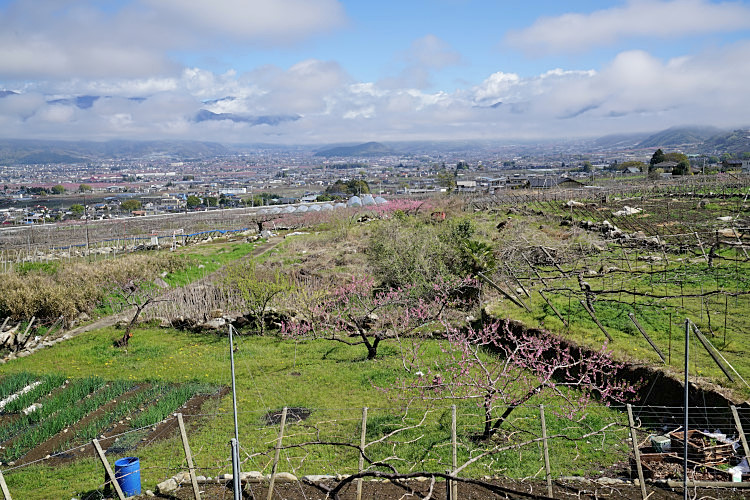 20170420-dsc06592.jpg