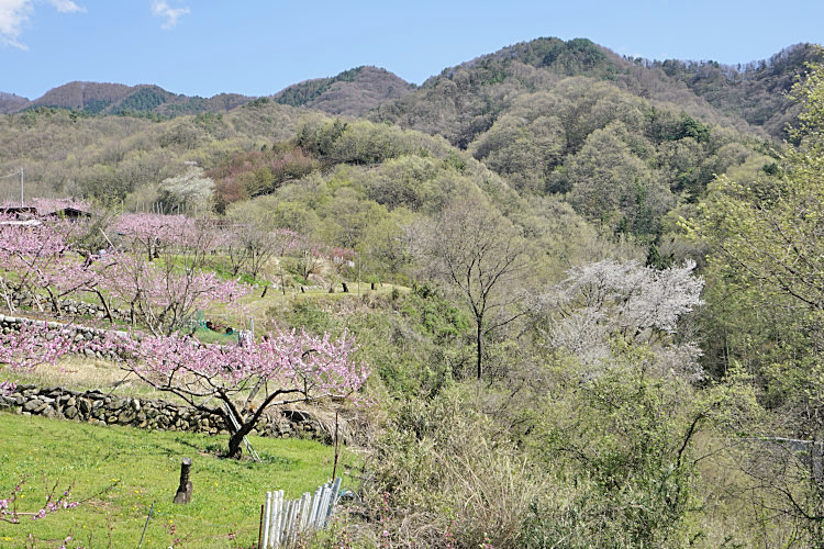 20170420-dsc06773.jpg