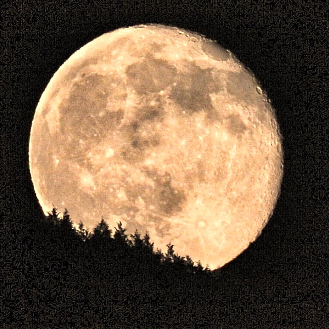 20170611-19030471_1310414682410102_7613575199904149810_n_1_.jpg