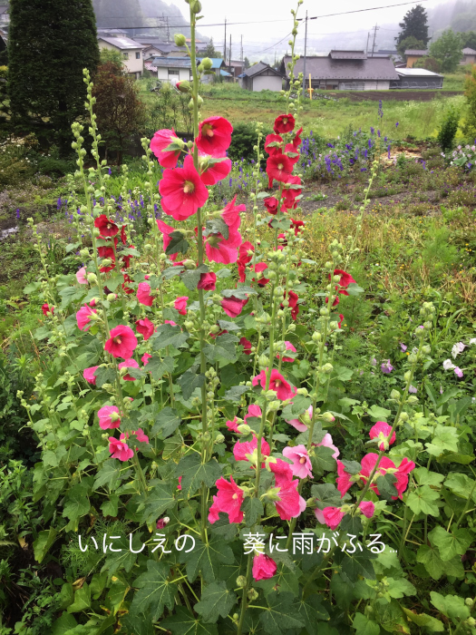 20170708-fullsizerender__14_.jpg