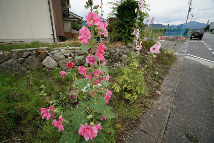 20170708-lbuk5472.jpg