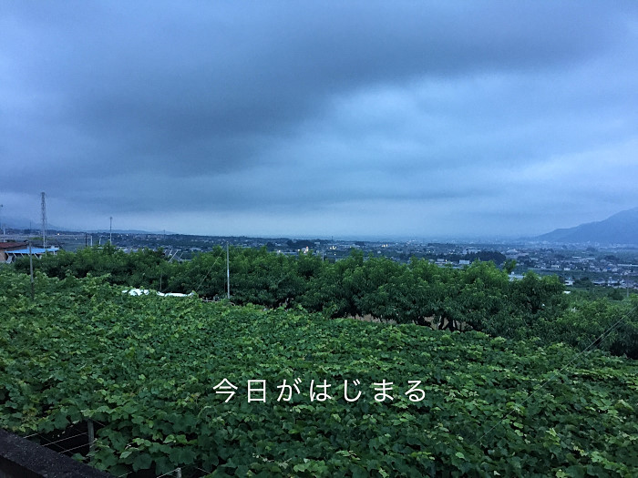 20170726-fullsizerender__6_.jpg