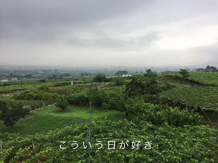 20170730-fullsizerender__6_.jpg