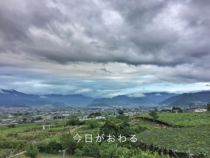 20170803-fullsizerender__10_.jpg