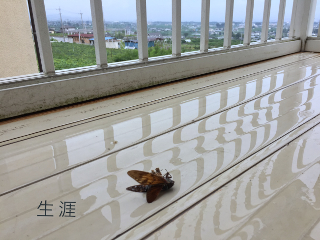 20170818-fullsizerender__11__01.jpg