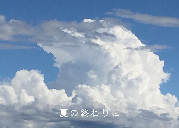20170908-fullsizerenderh063d8ld.jpg