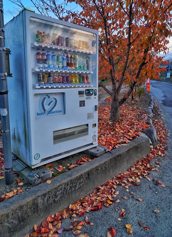 20171126-fullsizerender__14_.jpg