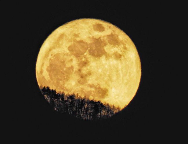 20180102-26165982_1497819923669576_1401263255343491237_n_1_.jpg