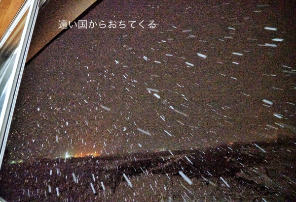 20180123-img_7981_00001.jpg
