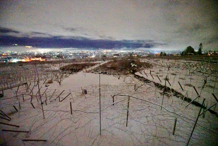 20180123-img_7984_00001.jpg