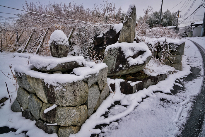 20180123-img_8007_00001.jpg