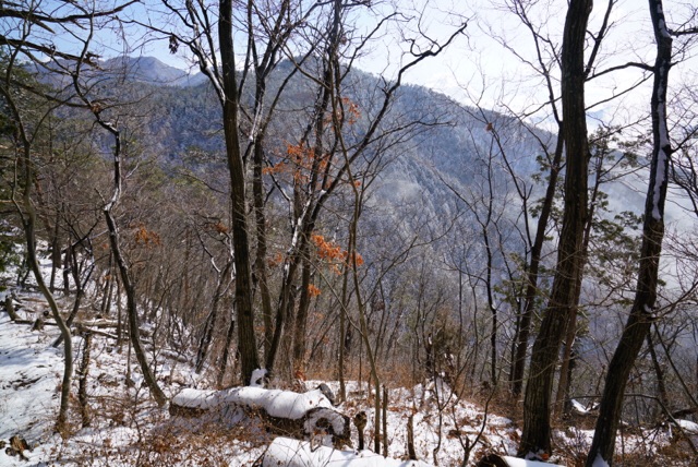 20180125-img_8066.jpg