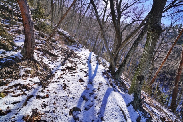 20180125-img_8073.jpg