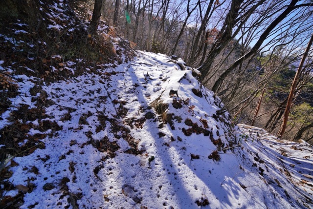 20180125-img_8074.jpg