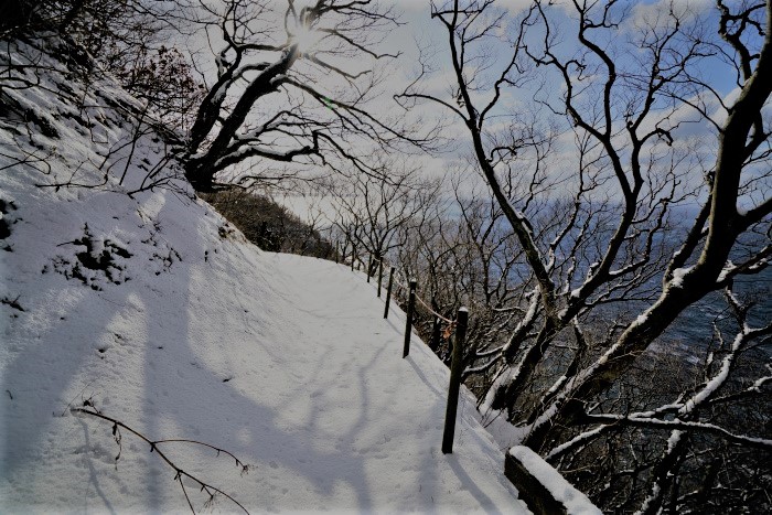 20180207-dsc09972_00001.jpg